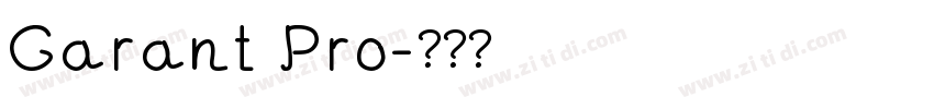Garant Pro字体转换